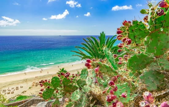 azure blue beach of Esquinzo, Fuerteventura, Canary Islands, (Canary Islands) from above