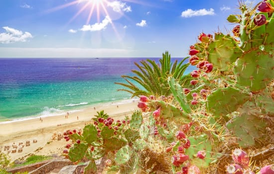 azure blue beach of Esquinzo, Fuerteventura, Canary Islands, (Canary Islands) from above