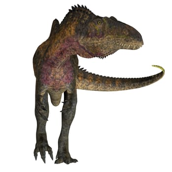 Acrocanthosaurus was a theropod carnivorous dinosaur that lived in North America during the Cretaceous Period.