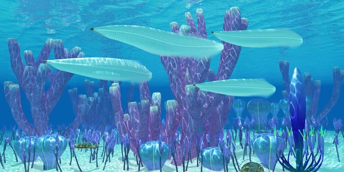 Pikaia fish swim together along with Trilobite invertebrates in blue ocean waters during the Cambrian Period.