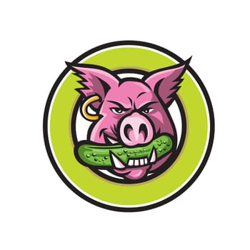 Mascot icon illustration of head of a wild pig, boar or hog biting a pickle or gherkin, a pickled cucumber viewed from front set in circle on isolated background in retro style.