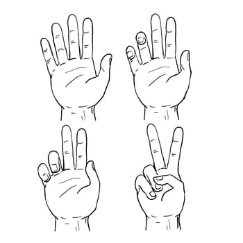 Drawing sketch style illustration showing the sequence progression of a human hand doing a two finger V or Victory sign or peace sign symbol.