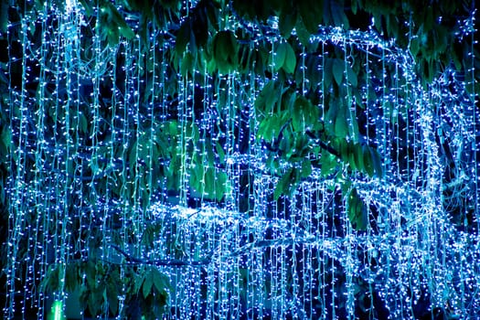 an image of shiny Christmas tree on Christmas time
