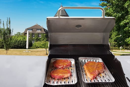 Delicious meat dish on the grill. In the background a park landscape.