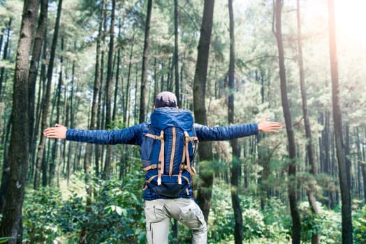Rear view of asian tourist man with raised hands in the forest