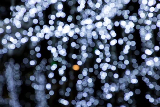 an image of shiny Christmas tree on Christmas time