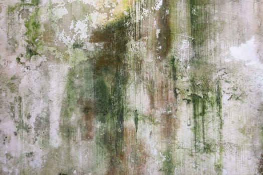 Old dirty wall covered with moss and mold - grunge texture