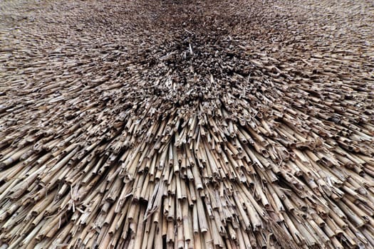 Abstract detail of the texture of the reed roof