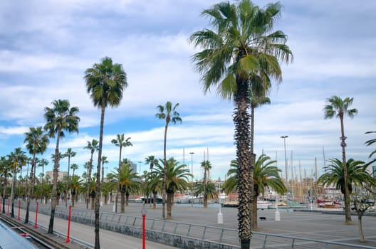 View of the Avenue in the Waterfront in Barcelona, Spain