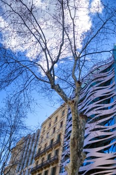 Buildings covered by trees in the center of Barcelona, Spain