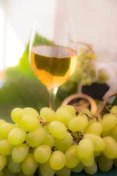 Fresh Wine