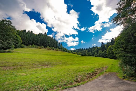Dirt track through a green alpine valley with leafy green forest trees under a sunny blue sky with fluffy white clouds in a scenic landscape
