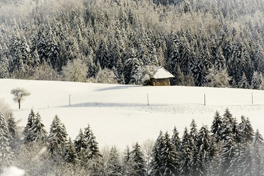 mountain landscape in winter with snow
