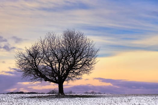 January Blues 2