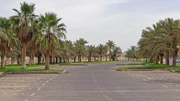 Empty parking lot during day in Kuwait
