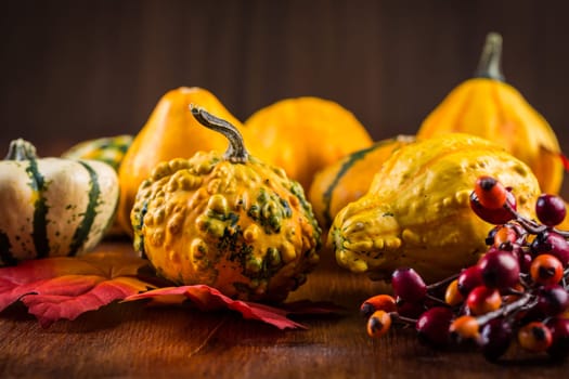 Thanksgiving and Halloween pumpkins still life