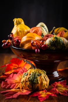 Thanksgiving and Halloween pumpkins still life
