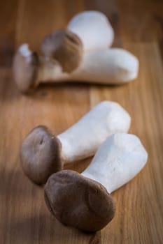Delicious raw king oyster mushrooms