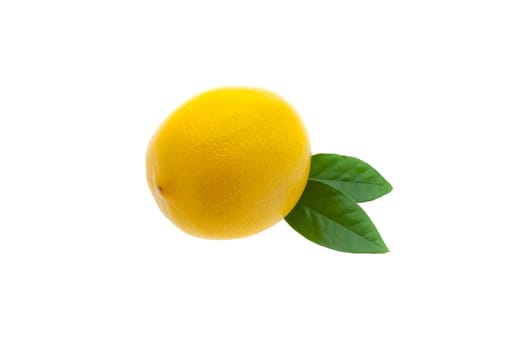 Creative layout made of lemon and leaves. Flat lay. Food concept. Lemon on white background.