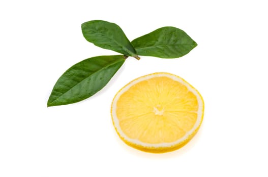 Round slice of bright, fresh, juicy lemon and few green leaves on a white background.
