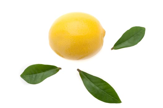 fresh bright lemon with three green leaves around a lemon on a white background.