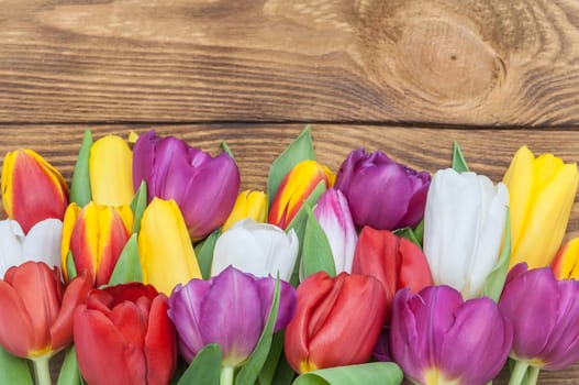 Many multicolored tulips form a frame on a wood background.