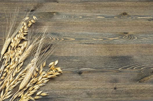Ears of wheat and barley on a background from boards.