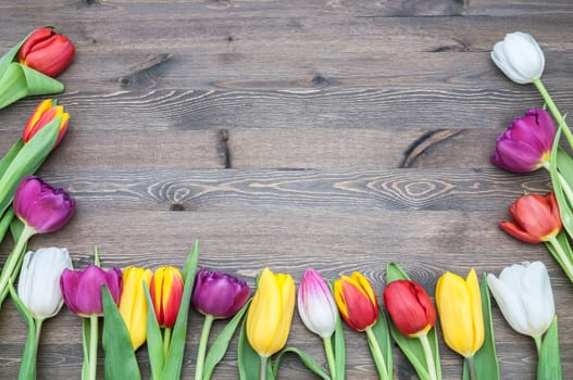Many multicolored tulips form a frame on a wood background.