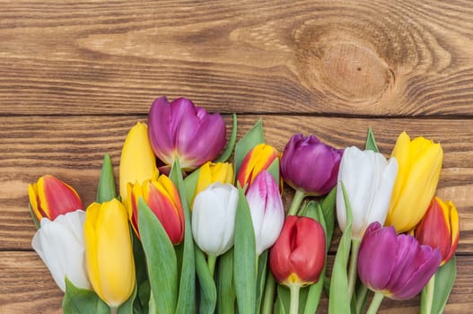 Many multicolored tulips form a frame on a wood background.