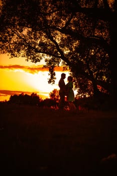 Romantic couple standing and kissing on background summer meadow sunset