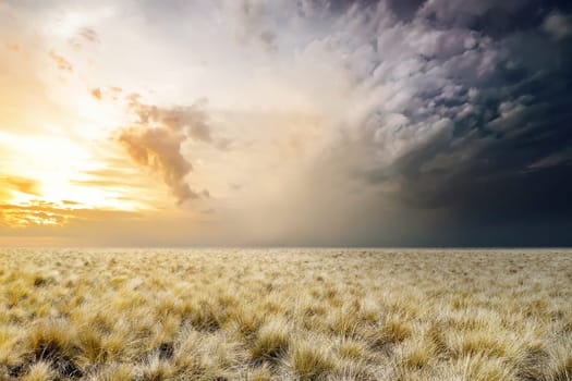 Scary grassland with overcast sky background. Halloween background