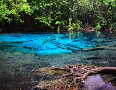 Emerald blue pool (Sra Morakot) in Krabi province, Thailand. Beautiful nature scene of crystal clear blue water in tropical rainforest.