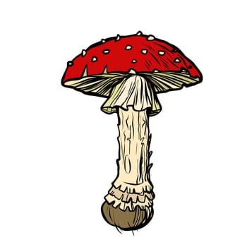 Fly agaric. Poisonous mushroom. Pop art retro vector illustration vintage kitsch