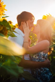 Romantic couple standing and kissing on background summer meadow sunflower sunset
