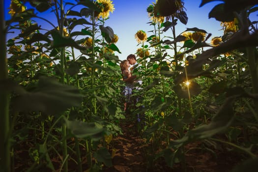 Romantic couple standing and kissing on background summer meadow sunflower sunset