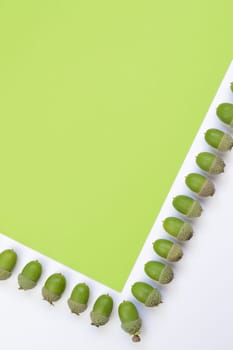 green acorns border as part of a frame on green and white background with copy space as abstract background