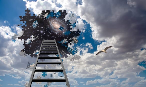 Puzzle Piece Hole in Sky, Falling Pieces and Ladder. Seagull in flight