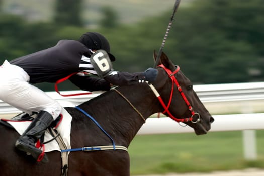 A racehorse and jockey cross the finish line first in a horse race. .