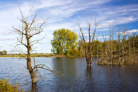 nature reserve Bislicher Insel, Lower Rhine Region, Germany