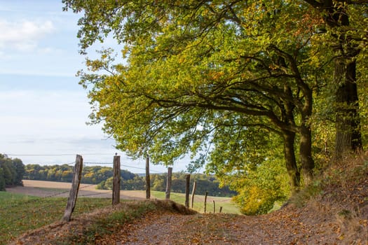 Autumn in the Lower Rhine Region, Germany
