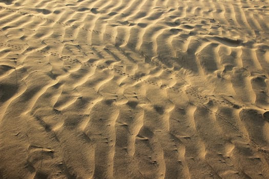 Close-up of fine, wavy, sand pattern at Sam Sand Dunes near Jaisalmer, Rajasthan, India, Asia