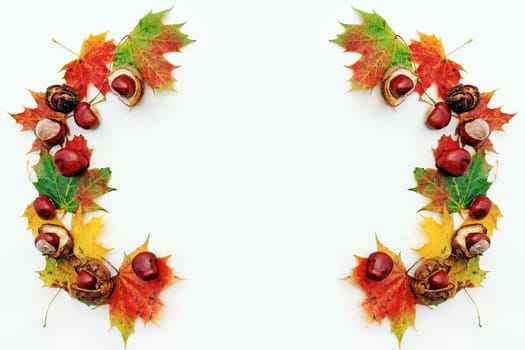 Colorful autumn leaves and chestnuts on a light wooden background