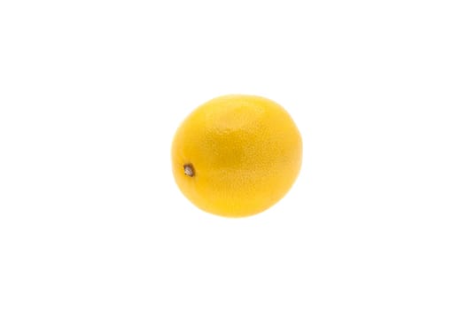 Creative layout made of one lemon. Lemon on white background.