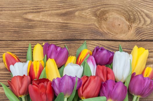 A bunch of colorful tulips on a wooden background.