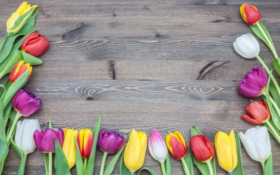 Frame of multicoloured tulips on a wooden background.