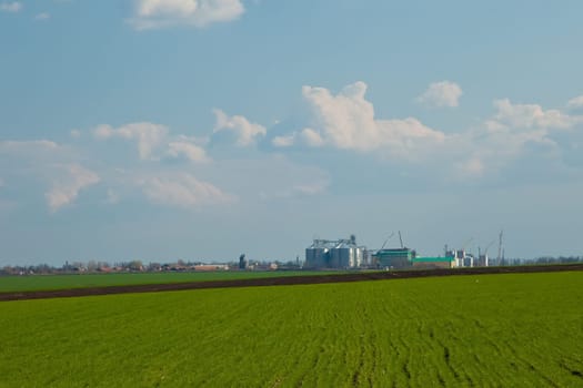 Towers of grain drying enterprise. metal grain facility with silos