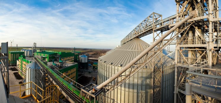 Towers of grain drying enterprise. metal grain facility with silos