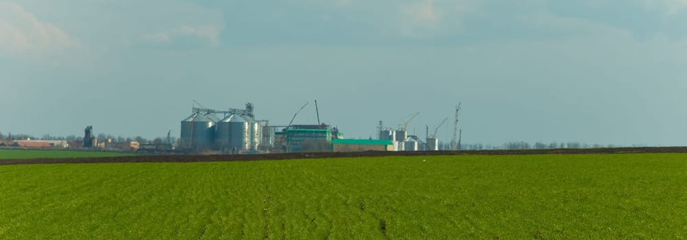 Towers of grain drying enterprise. metal grain facility with silos