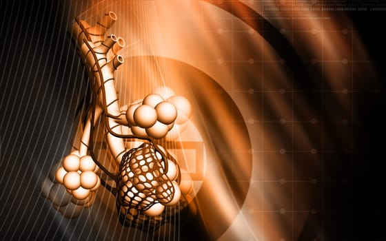 Digital illustration of alveoli in colour background