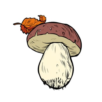 White mushroom boletus. Pop art retro vector illustration vintage kitsch
